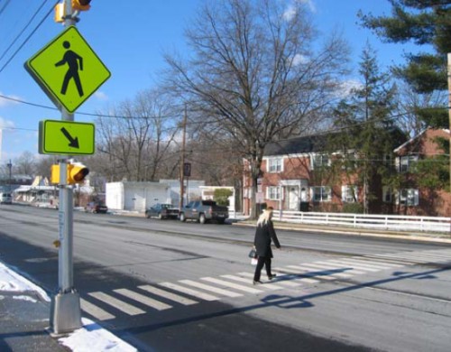 2010 Ped 3 500x390 1