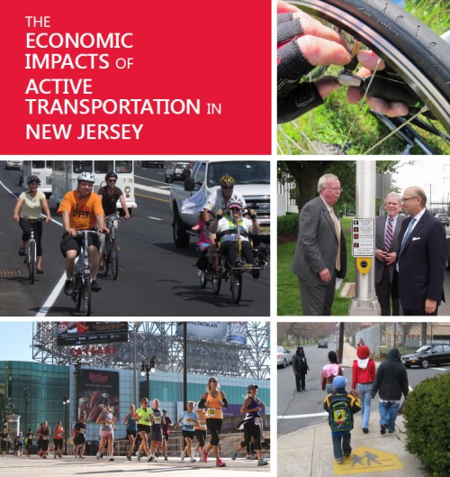 Economics Impacts of Active Cover Screenshot 500x529 1