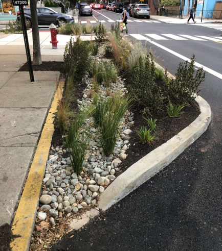 Bioswale Hoboken2